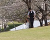 Nara, svatba, odpočinek v parku pod sakurou