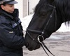 Slavnostní předání koní a standarty - kůň a jeho jezdkyně<br />Foto: Jana Hejrová